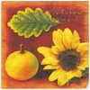 Napkin Indian Summer, 1 piece