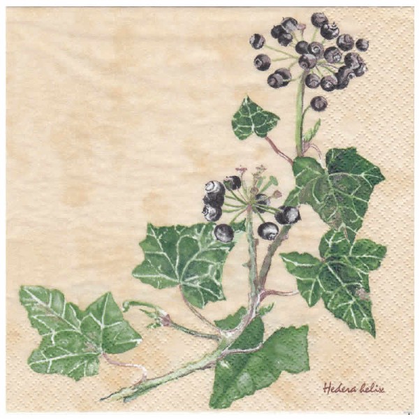 Serviette lierre + fruits, 1 pièce