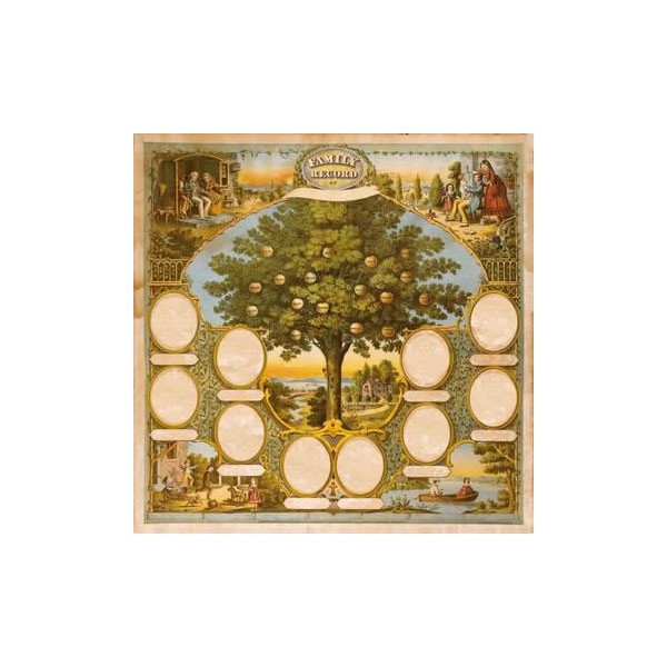 Papier pré-imprimé arbre généalogique