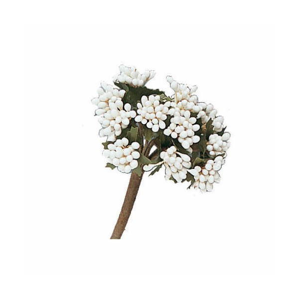 Bunch of berries, white