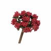 Beeren, rot