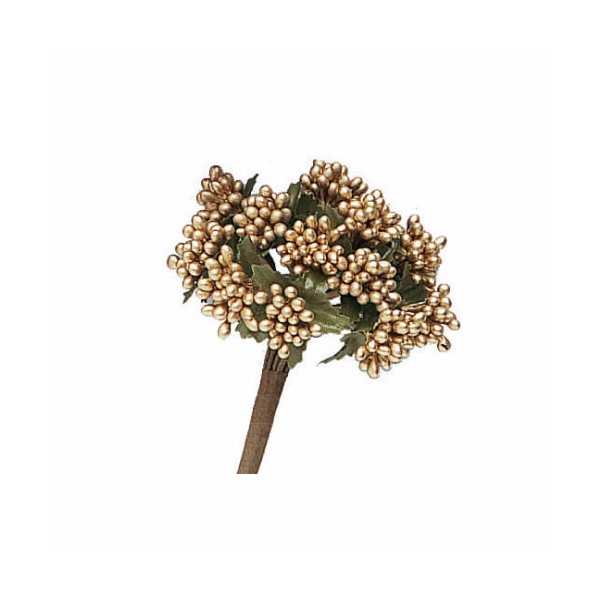 Beeren, gold