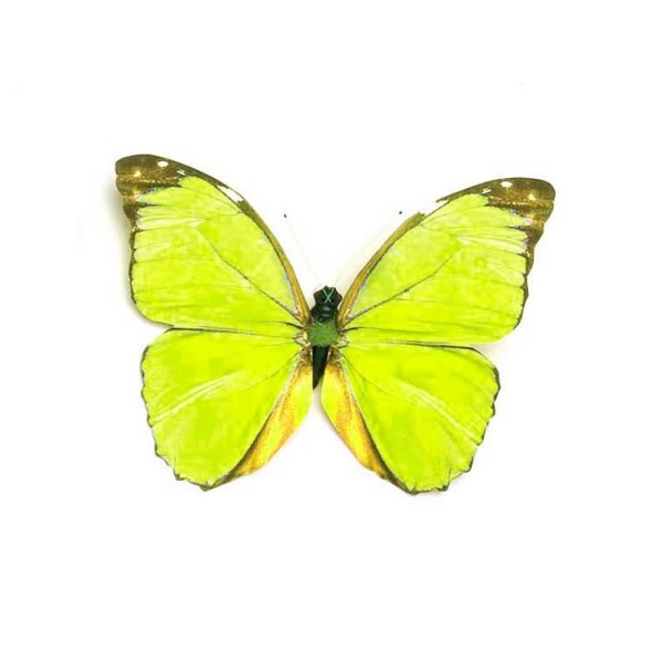 Mariposa con pinza, verde, 8cm, 1 pz