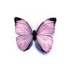 Mariposa con pinza, violeta, 8cm, 1 pz