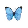 Mariposa con pinza, azul, 8cm, 1 pz