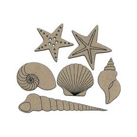 Coquillages, 6 pcs, 4.5x4cm
