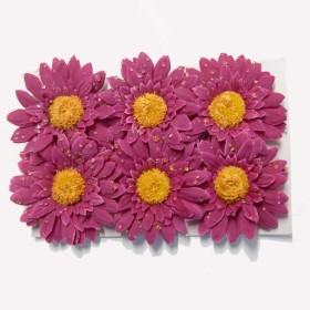 Gerbera avec gouttes de rosée, Ø 70mm, 6 pces