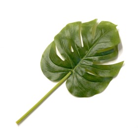 Feuille de monstera, 28cm, 1 pièce