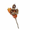 Branche de chêne, 12cm