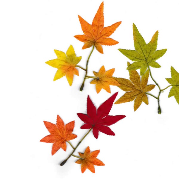 Branches décoratives érable japonais 14cm, 6 pcs