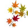 Dekorative japanische Ahornzweige 14 cm, 6 Stk