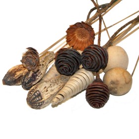 Surtido decorativo natural con tallos, 20 uds
