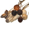 Assortiment décoratif naturel sur tiges, 20 pcs