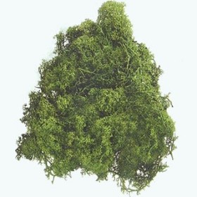 Islandmoss, dark green, 50g