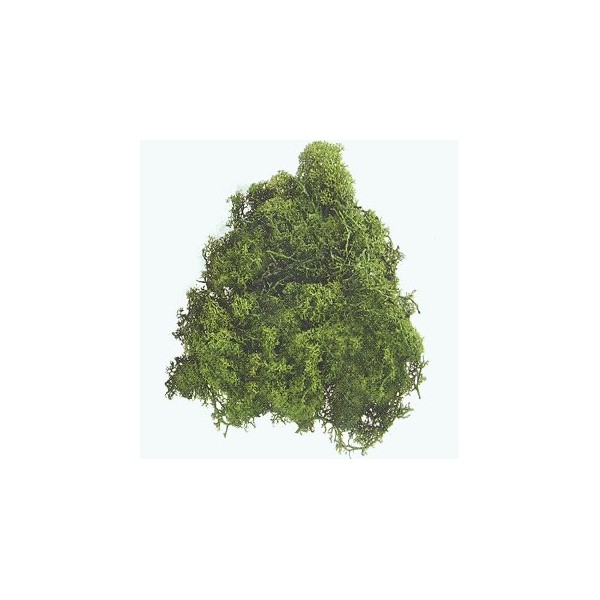 Islandmoss, dark green, 50g