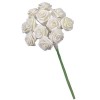 12 Diorröschen Bünde von 12 Blumen, weiss 1.5cm