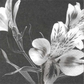 Napkin black/white flower, 1 piece