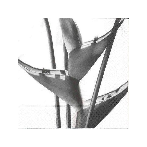 Serviette fleurs blanc-noir, 1 pièce
