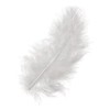 Plumas blancas, 5g