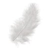 Plumes blanches, 5g