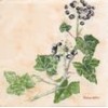 Napkin ivy and berries, 1 piece