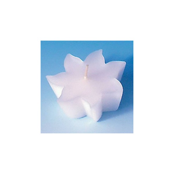 Lot De 50 Bougies Flottantes Rouges - Petites Bougies Pour Centres De Table, Décoration D'événements, Mariages, Anniversaires, Ambiances Romantiques