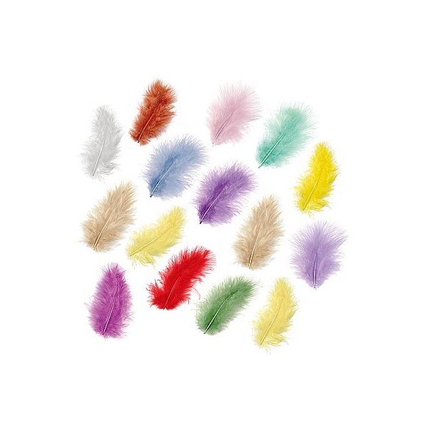 Plumes de marabout assorties, 5cm, 15 pces