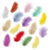 Plumes de marabout assorties, 5cm, 15 pces