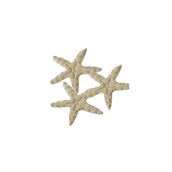 Sea stars, beige felt