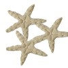 Sea stars, beige felt