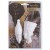 Plaster pharaos, 2 pcs