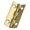 Zierscharniere, vermessingt, 30x15mm