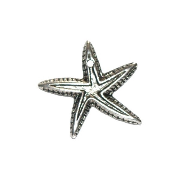 Pendentif étoile de mer, 25mm, 5 pces
