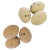 Oeufs mouchetés assortis 3cm, 10 pièces