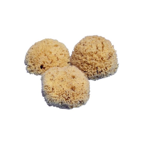 Natural sponges, 3 pcs