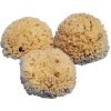 Natural sponges, 3 pcs