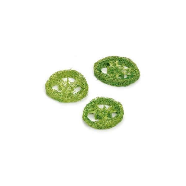 Rebanada de Luffa, verde, 3 pzas