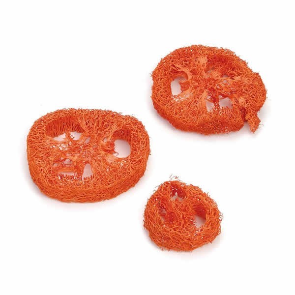 Tranches de Luffa, orange, 3 pcs