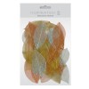 Feuilles squelette, 50 pièces