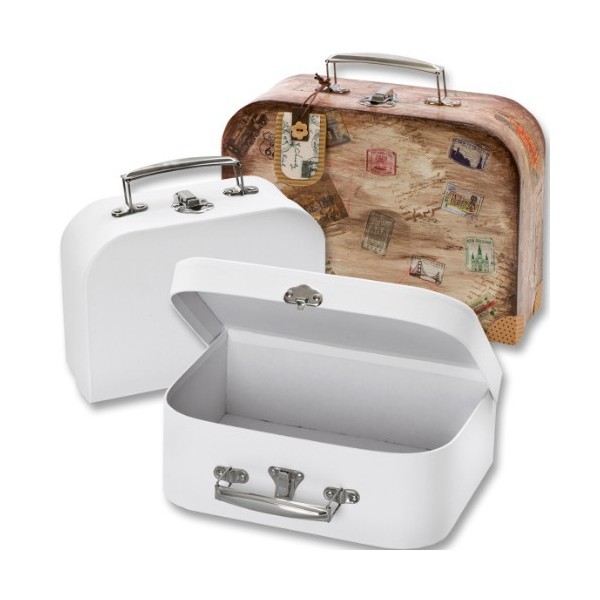 Set of two cases