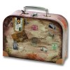Set of two cases