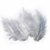 Grey Feathers, 8cm, 15 pcs