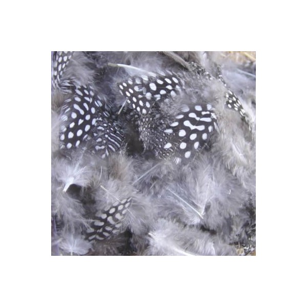 Grey Feathers with dots, 8cm, 15 pcs
