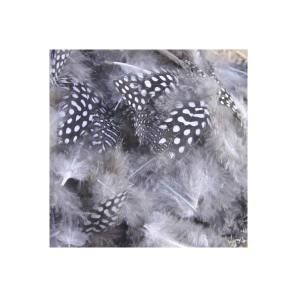 Plumas gris y puntos, 8cm 15 pz