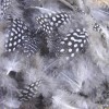 Plumas gris y puntos, 8cm 15 pz