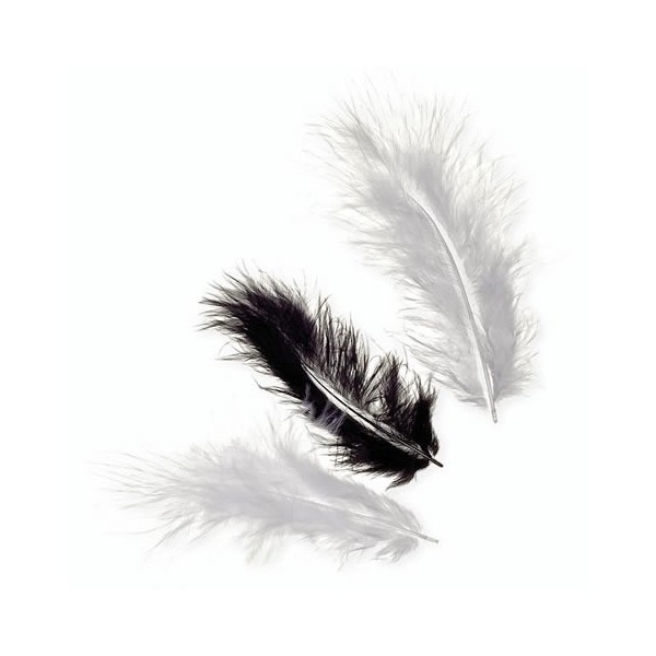 Marabu feathers, black mix, 15 pcs, 10cm