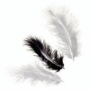 Marabu feathers, black mix, 15 pcs, 10cm