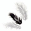 Plumas de marabú, mix negro, 15 pzas, 10cm