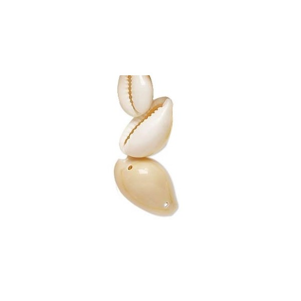 Coquillage Cauri beige 11-12mm, 4 pcs