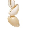 Coquillage Cauri beige 11-12mm, 4 pcs